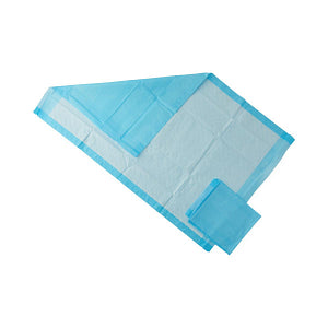 Protection Plus Underpad, Light Absorbency, 23" x 36", Blue, Inner Packs of 25/Bag