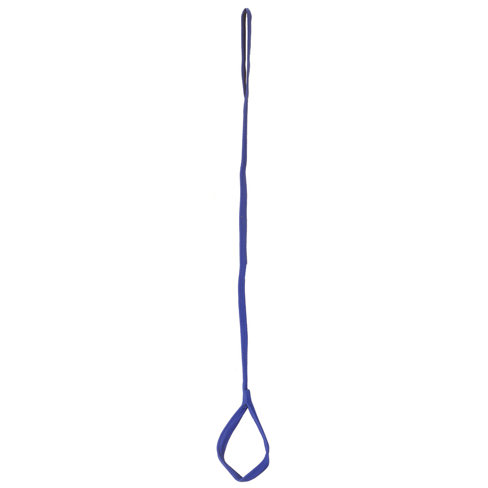 Leg Lifter, Blue